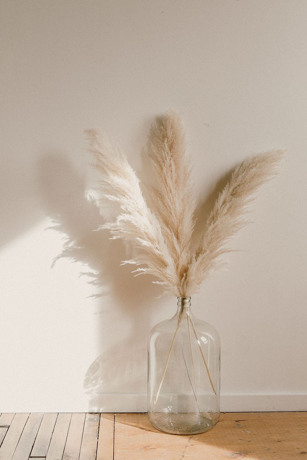 Premium Champagne Pampas Grass
