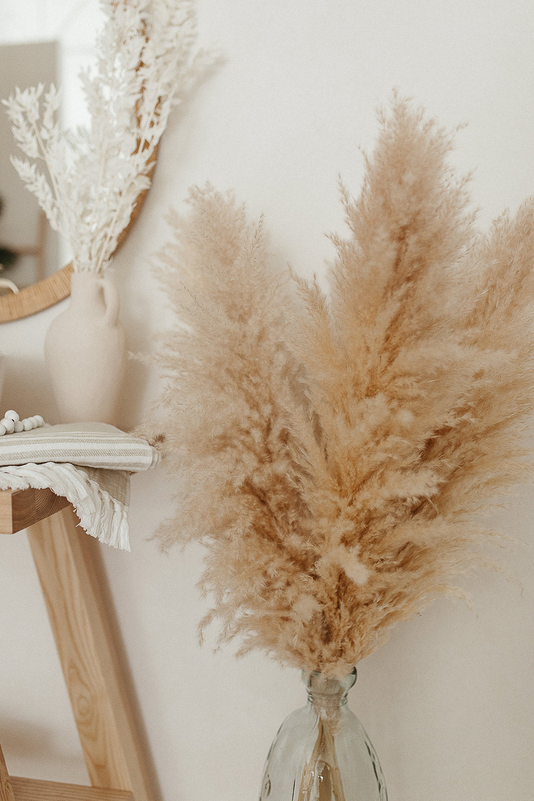 Premium Champagne Pampas Grass