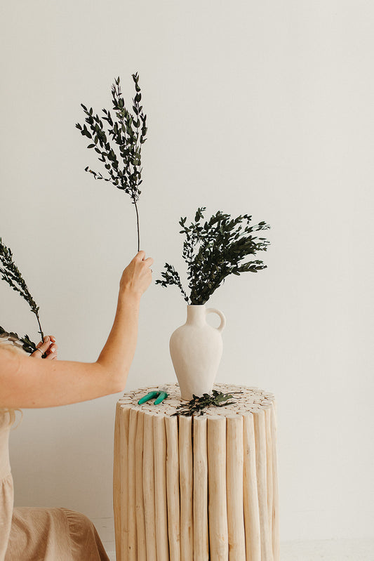 Preserved Parvifolia Eucalyptus