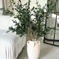 Faux Olive Stem/Branch - PRE-ORDER