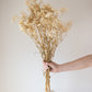 Natural Preserved Baby’s Breath