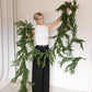 Real Touch Faux Norfolk Garland- 15Ft- PRE-ORDER