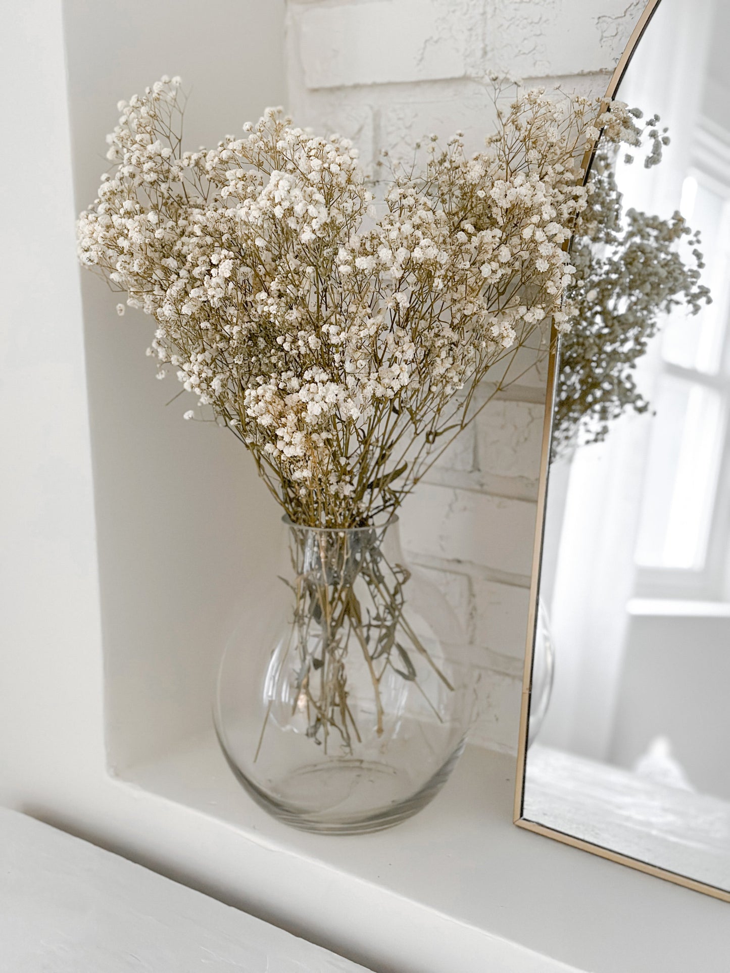 Natural Preserved Baby’s Breath